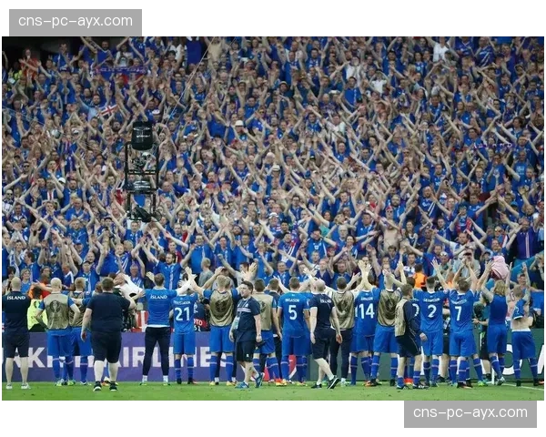 欧足联与高校合作推出“足球管理与欧冠运营”硕士项目